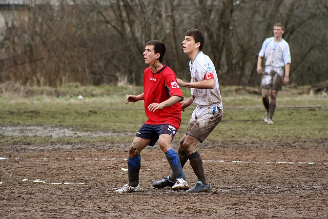 将利用他们 将利用他们