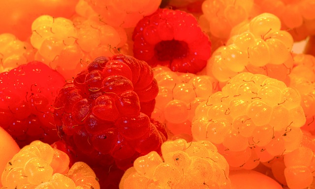 注重技术型 注重技术型