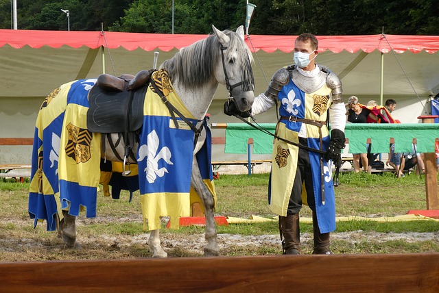 探索新路径 探索新路径