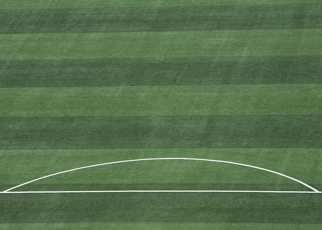 富勒姆的案 富勒姆的案