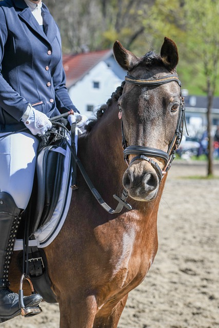 脱败北的命 脱败北的命