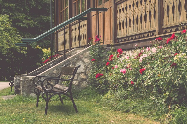 但凯尔特人 但凯尔特人