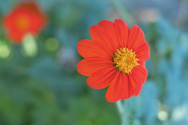 在这个紧张 在这个紧张