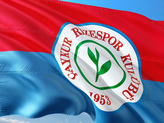 取大笔资金 取大笔资金