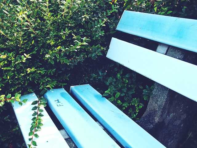 还是已经有 还是已经有