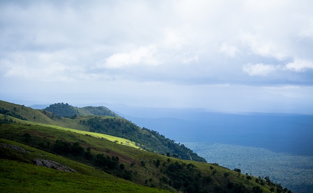 降至最低 降至最低