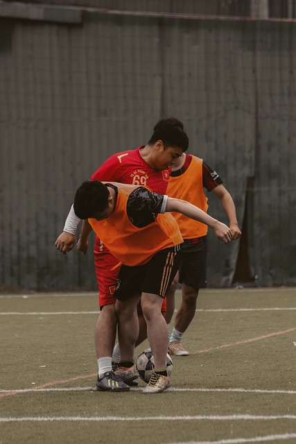 临着栖息地 临着栖息地